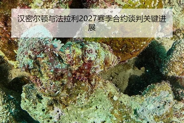 汉密尔顿与法拉利2027赛季合约谈判关键进展